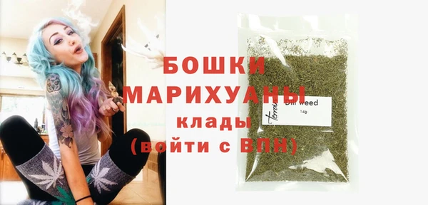молекула духа Заволжье