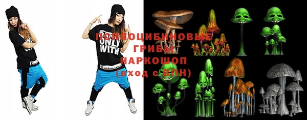 молекула духа Заволжье