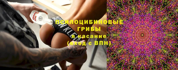 дмт Заводоуковск