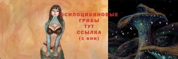 дмт Заводоуковск