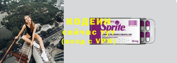 дмт Заводоуковск