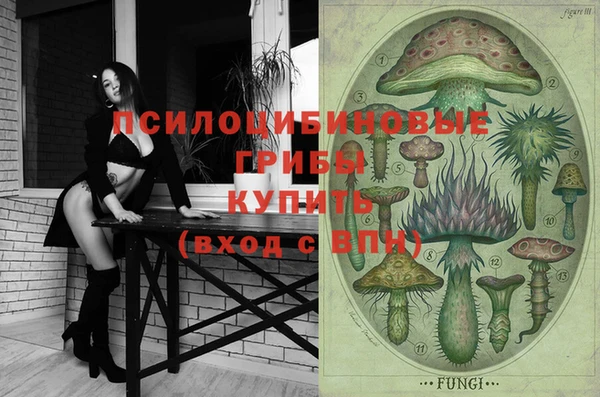 дмт Заводоуковск