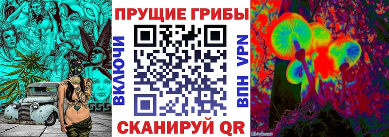Купить закладки Минеральные Воды Псилоцибиновые грибы мицелий